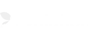 Evolution logo, live studio at elitespin online